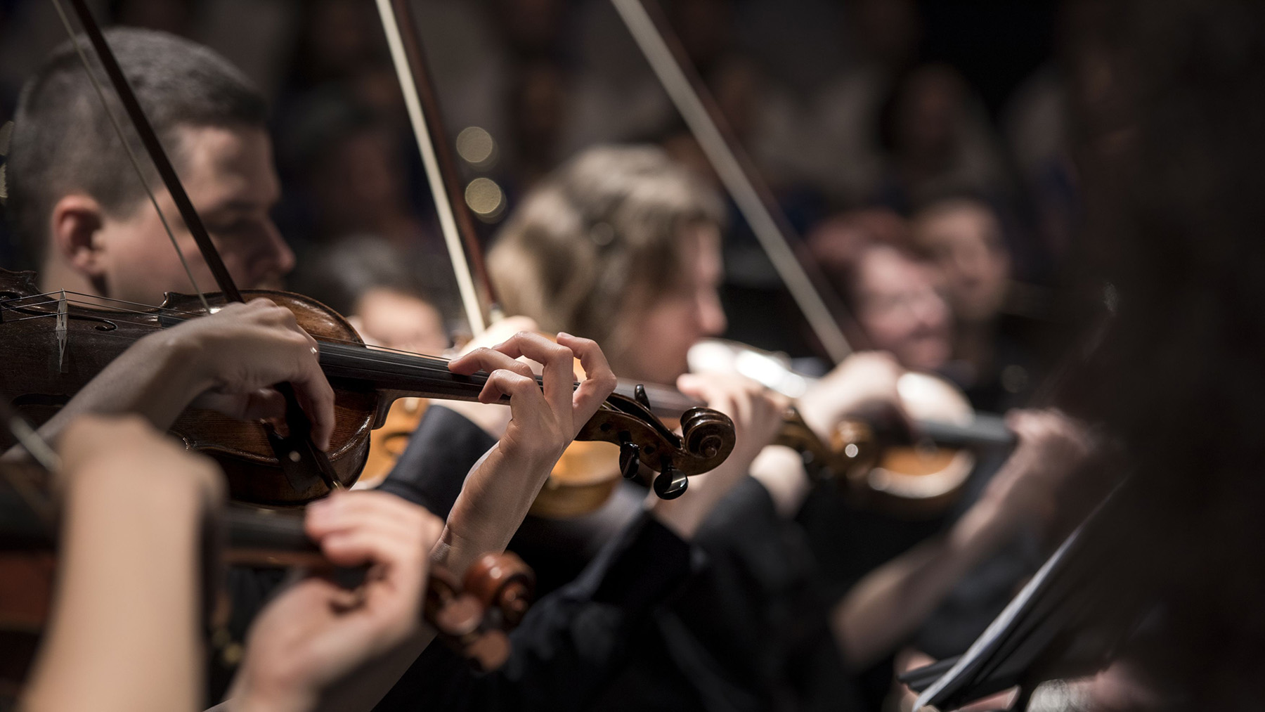 Stock photo of violinists performing in an orchestra