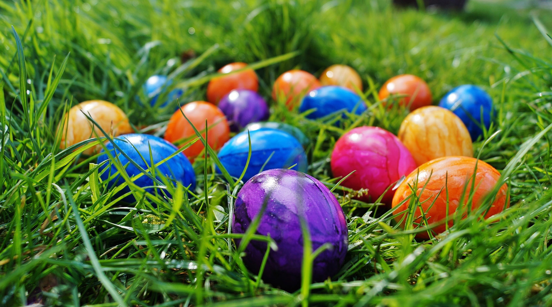Stock photo of colorful, painted Easter eggs lying in the grass (Creative Commons photo, courtesy of RawPixel.com)