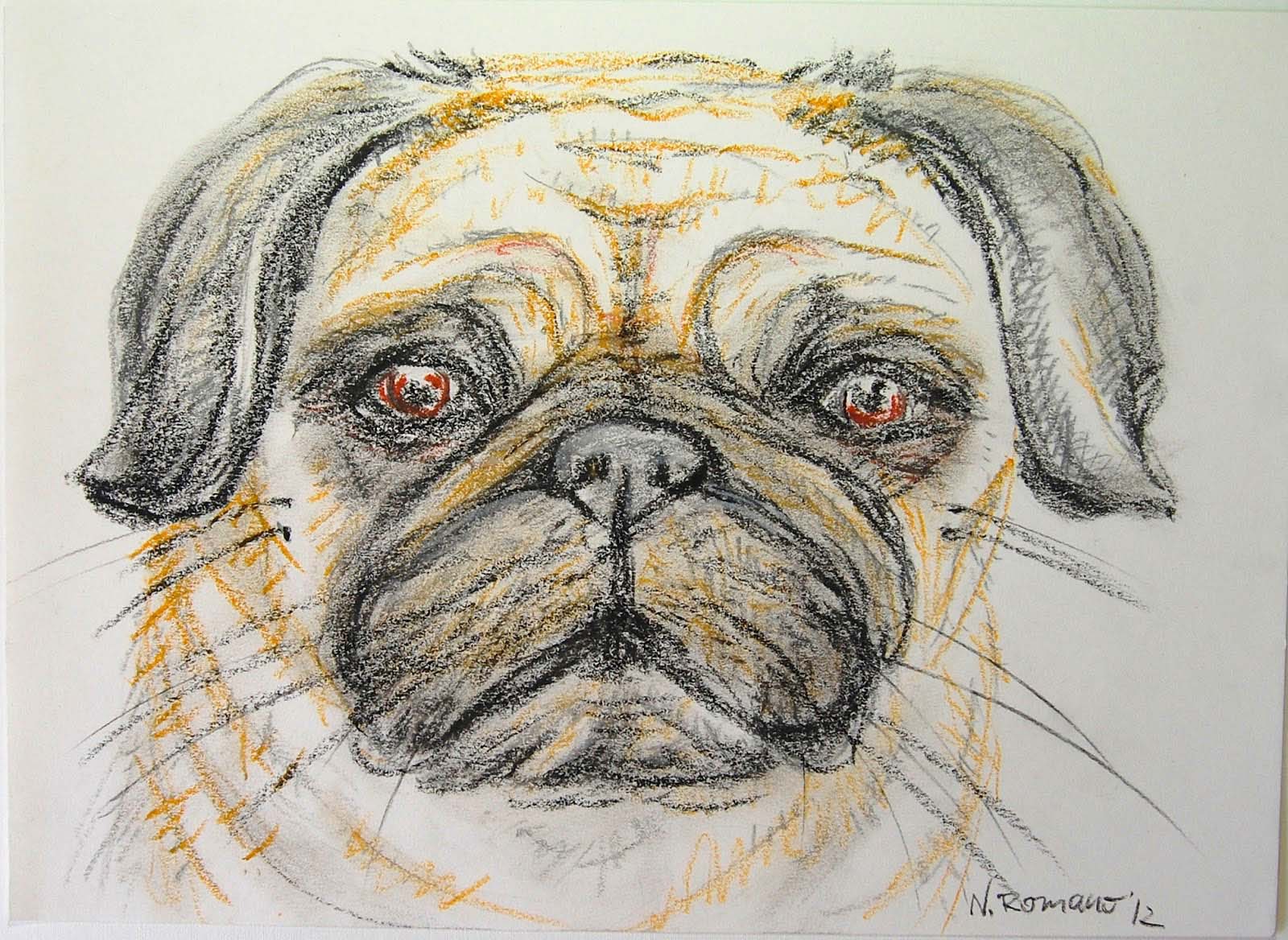 Pastel portrait of a pug